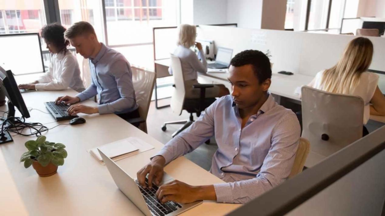 Session de formation SEO en ligne interactive